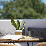 Apademia Luxury Residences Skyros